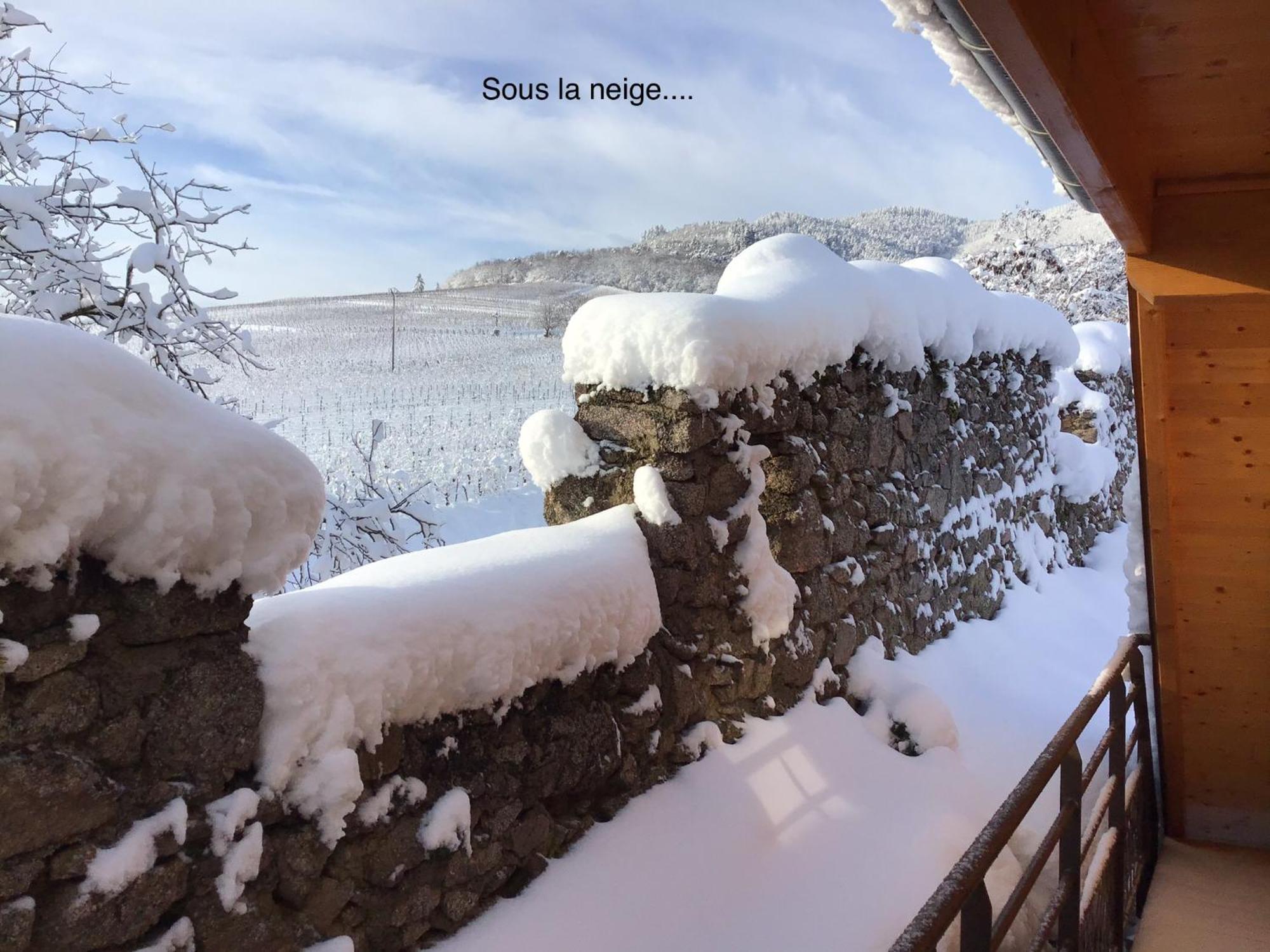 Hotel Le Refuge Du Rempart Dambach Pokoj fotografie
